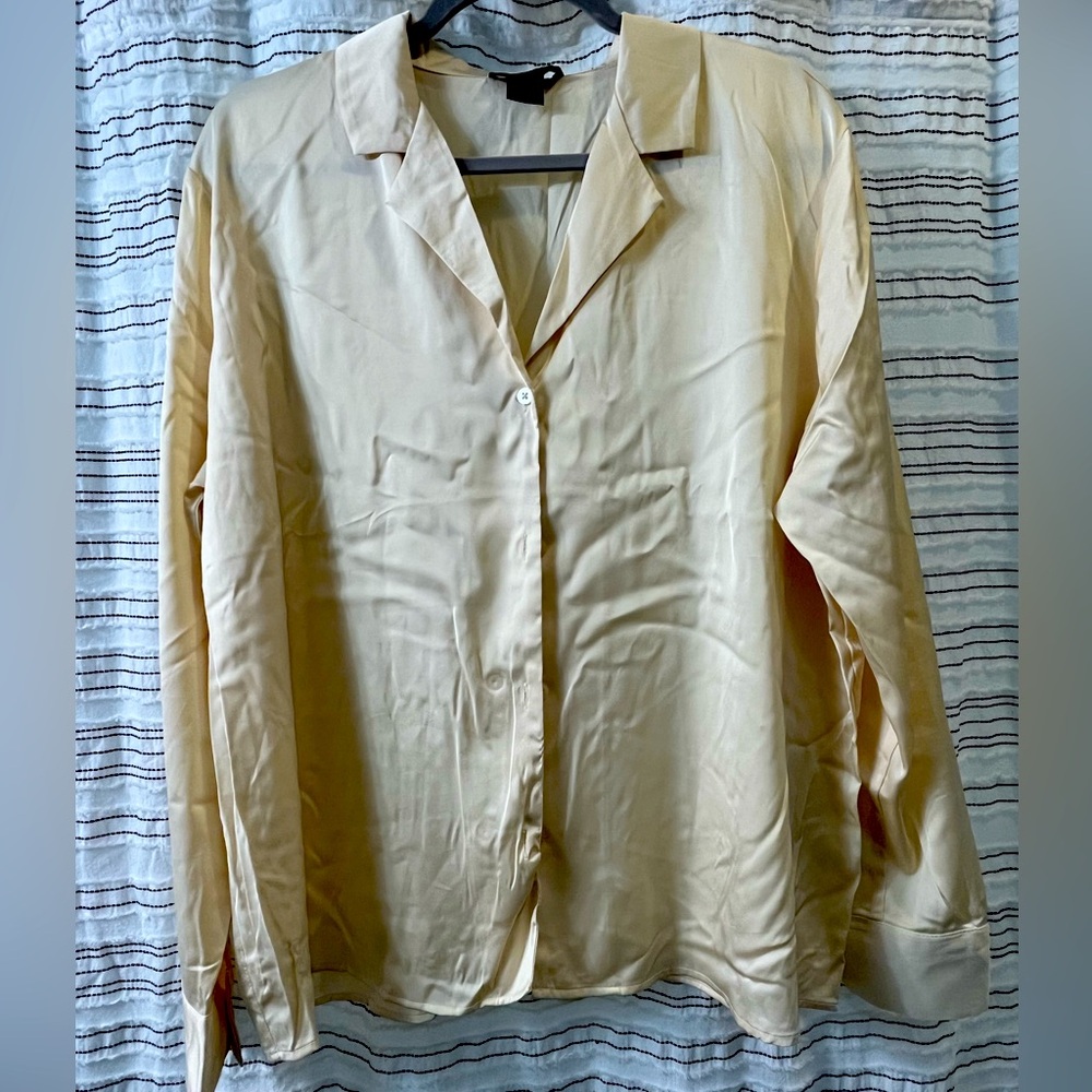 Silk business top.